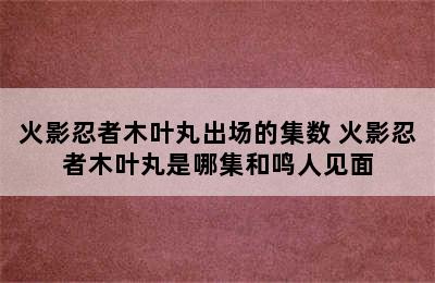 火影忍者木叶丸出场的集数 火影忍者木叶丸是哪集和鸣人见面